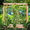 dobar Tomaten-Haus Gewächshaus aus Holz mit Rankhilfe und  Produktbild-Vorschau 7