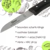 2 Küchenmesser gerade rostfrei klein Holzgriff Buche Produktbild-Vorschau 3
