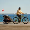 NAVA WALK – Rimorchio per bici e passeggino 2 in 1 per 2 Anteprima dell’immagine prodotto 2