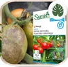 Pflanzenschutzmittel Revus SC 250 - 30 ml - gegen Mehltau - Produktbild-Vorschau 6