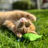 Aumüller Schmusekissen für Katzen mit Katzenminze - Produktbild-Vorschau 5