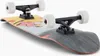 Landyachtz Atv 32” Perfecto Speakeasy Longboard Produktbild-Vorschau 3