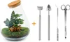 Diy Terrarium - Drop Xl Rood - ↕ 37 Cm Podgląd zdjęcia produktu 5