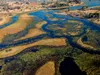 Calvendo Im Okavango-Delta bei Bukwi Island 1000 Teile Produktbild-Vorschau 2