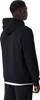 CHAMPION Hooded Sweatshirt Herren schwarz L Produktbild-Vorschau 16