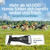 HUND IST KÖNIG Windeln für Hündinnen [3 Stk], S (Taille Produktbild-Vorschau 6