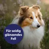 Canosept Fellpflegespray für Hunde 250 ml Produktbild-Vorschau 3