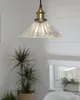 A close-up shot of a glass pendant light with a brass and black metal fixture, hanging in a room with a potted plant and a window in the background. Náhled obrázku produktu