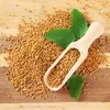 Gelbsenf 5kg Gründünger ganze Körner ganz Produktbild-Vorschau 4