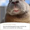 Supravit Nagerfutter Kleintierfutter 2,5kg | Premium Produktbild-Vorschau 4
