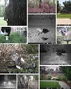 Wildkamera 36MP 4K Wasserdicht Tierkamera mit 32G Produktbild-Vorschau 14