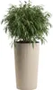 HowHomely | Pflanzentöpfe - Blumenkübel - beige - 3er Set - Produktbild-Vorschau 9