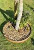 Rasenkanten Baumring Cortenstahl 3 mm - Ø 37 x 20 cm Höhe Produktbild-Vorschau 8