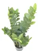 Europalms Zamifolia Kunstpflanze 70cm 82600153 Náhľad obrázku produktu 4