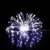 A string of white LED lights on a silver wire, arranged in a starburst or dandelion-like shape, against a black background. Voir les images du produit