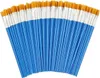 Ensemble de pinceaux de 100 pièces Voir les images du produit 1