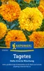 Kiepenkerl Tagetessamen Hohe Erecta 50 Pflanzen Produktbild-Vorschau 1
