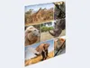 HERMA Eckspannermappe "Afrika Tiere" aus Karton DIN A4 Produktbild-Vorschau 4