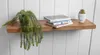 A wooden shelf mounted on a white paneled wall, decorated with a hanging plant and a stack of books. Produktbild-Vorschau
