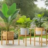 Three potted plants on wooden stands in an outdoor garden setting. Produktbild-Vorschau