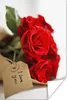 MuchoWow® Poster Rote Rosen auf einem weißen Hintergrund Produktbild-Vorschau 1