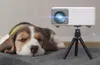 A beagle puppy sleeps next to a mini projector on a tripod. Produktbild-Vorschau