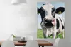 MuchoWow® Poster Kuh - Wiese - Natur - Tiere - Gras 90x120 Produktbild-Vorschau 2