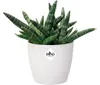elho brussels Rund Mini 12,5cm Übertopf - weiss Produktbild-Vorschau 10