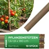 Pręt ogrodowy KBT 1800/16-18 mm, opak. 10 szt., bambus, Podgląd zdjęcia produktu 2