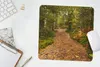 MuchoWow® Mauspad Mousepad Wald - Weg - Herbst - Laub 30x30 Produktbild-Vorschau 5
