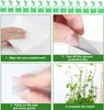 100 Stück Pflanzen-Kletterwandhalterung Wandranken Produktbild-Vorschau 6