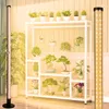 Rostlinná lampa LED Vertikální stojící rostliny Rostoucí Náhled obrázku produktu 9