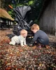 BabyTrold 13-82S, Betthimmel, Traditioneller Kinderwagen, Produktbild-Vorschau 3