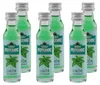 Nordbrand Pfefferminz Likör (24 x 0,02L) Produktbild-Vorschau 3