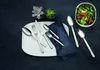 Villeroy & Boch Louis Tafelbesteck 68tlg Besteck-Set Produktbild-Vorschau 13