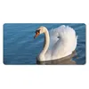 MuchoWow® Schreibtischunterlage Schwan - Wasser - Vogel - Produktbild-Vorschau 1