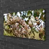 Tulup Leinwand-Bilder 100x50 Wandbild Canvas Kunstdruck Produktbild-Vorschau 2