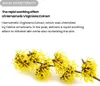 TIRTIR SOS Brightening And Regenerating Face Serum 50 ml Anteprima dell’immagine prodotto 3