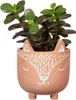 Sass & Belle Mini Woodland Fox Terrakotta Übertopf Produktbild-Vorschau 2