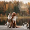 Lolo & Max - Spot On Floh- und Zeckenschutz für Hunde - bis Produktbild-Vorschau 3