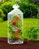 Folia ochronna na pomidory, 2 sztuki Podgląd zdjęcia produktu 2