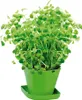 Tescoma Kräuteranbau-Set SENSE, Oregano Produktbild-Vorschau 1
