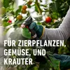 Spezial-Pilzfrei COMPO Ortiva 20 ml Produktbild-Vorschau 9