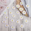 20 Stück Patches zum Aufbügeln Gänseblümchen Blumen Produktbild-Vorschau 4
