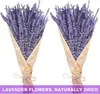 1 Schachtel natürlicher getrockneter Lavendel, farbecht, Produktbild-Vorschau 2