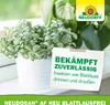 Neudorff Neudosan AF Neu Blattlausfrei 500 ml Produktbild-Vorschau 13
