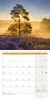 Bäume Kalender 2027 - 30x30 - Art12 Produktbild-Vorschau 14