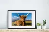 MuchoWow® MuchoWow® Gerahmtes Poster Schottische Produktbild-Vorschau 4