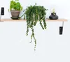 A shelf with two plants and a lamp. Produktbild-Vorschau