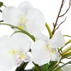 Vase künstliche orchideen keramikvase h44cm  - Atmosphera Produktbild-Vorschau 4